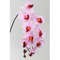 M.P.Cymbidium Orchid Spray