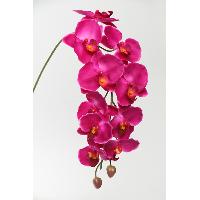 M.P.Cymbidium Orchid Spray